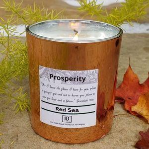Prosperity candle